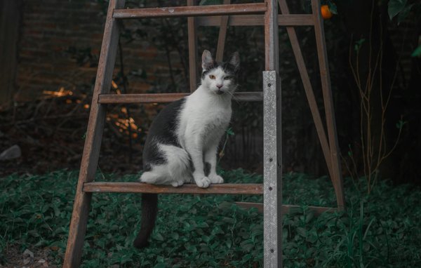 How Can You Enhance Your Living Space With Minimal Effort?